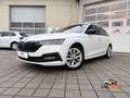 Skoda Octavia Octavia Combi 2,0 TDI 4x4 Style DSG  **1.BESITZ** Weiß - thumbnail 1