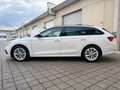 Skoda Octavia Octavia Combi 2,0 TDI 4x4 Style DSG  **1.BESITZ** Weiß - thumbnail 14