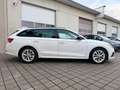 Skoda Octavia Octavia Combi 2,0 TDI 4x4 Style DSG  **1.BESITZ** Weiß - thumbnail 8