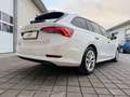 Skoda Octavia Octavia Combi 2,0 TDI 4x4 Style DSG  **1.BESITZ** Weiß - thumbnail 9