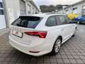 Skoda Octavia Octavia Combi 2,0 TDI 4x4 Style DSG  **1.BESITZ** Weiß - thumbnail 10