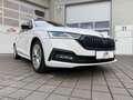 Skoda Octavia Octavia Combi 2,0 TDI 4x4 Style DSG  **1.BESITZ** Weiß - thumbnail 7