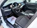 Skoda Octavia Octavia Combi 2,0 TDI 4x4 Style DSG  **1.BESITZ** Weiß - thumbnail 22
