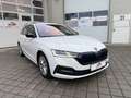 Skoda Octavia Octavia Combi 2,0 TDI 4x4 Style DSG  **1.BESITZ** Weiß - thumbnail 6