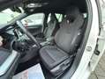 Skoda Octavia Octavia Combi 2,0 TDI 4x4 Style DSG  **1.BESITZ** Weiß - thumbnail 24