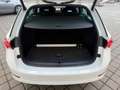 Skoda Octavia Octavia Combi 2,0 TDI 4x4 Style DSG  **1.BESITZ** Weiß - thumbnail 15