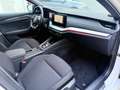 Skoda Octavia Octavia Combi 2,0 TDI 4x4 Style DSG  **1.BESITZ** Weiß - thumbnail 18