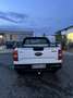 Ford Ranger Ford Ranger Tremor 4WD 2023 - thumbnail 3