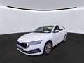Skoda Octavia Combi 2.0 TDI DSG STYLE LED NAVI HEAD-UP Weiß - thumbnail 2