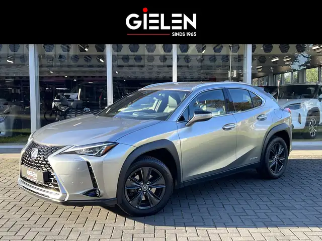 Lexus UX 250h Luxury Line | Leer, Stoelverwarming, Dodehoekherke