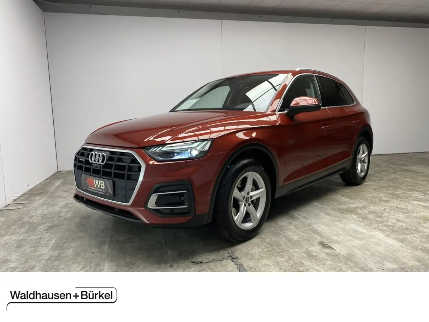 Audi Q5 40 TDI quattro Standheizung + Luft Klima Navi Rot - 1
