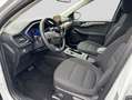 Ford Kuga 2.5 Duratec PHEV TITANIUM Weiß - thumbnail 7