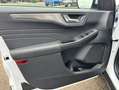 Ford Kuga 2.5 Duratec PHEV TITANIUM Weiß - thumbnail 13