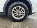 Ford Kuga 2.5 Duratec PHEV TITANIUM Weiß - thumbnail 15