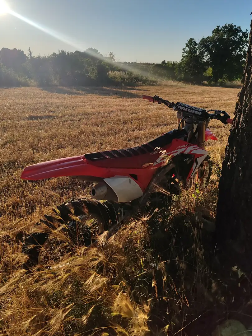 Honda CRF 250 rr Rouge - 2
