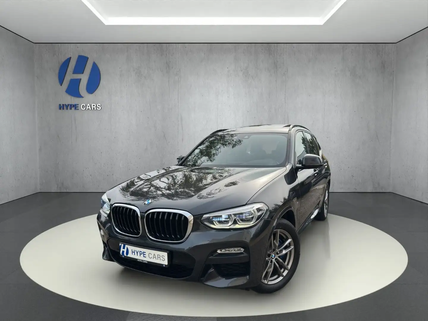 BMW X3 xD 30d M Sport LED Pano HUD RFK StHzg ACC 19Z Gris - 1