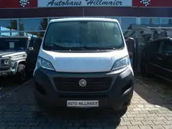 Fiat Ducato Kasten 35 160 L2H1 *§ NEU*AUTOMATIK*AHK*
