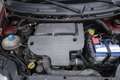 Fiat Panda FIAT Panda 1.3 MJT 16V Emotion Unicoproprietario Rosso - thumbnail 19