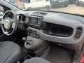 Fiat New Panda 1000 HYBRID CROSS 70CV CARPLAY CLIMAUTO ITALIA Rouge - thumbnail 9