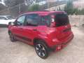 Fiat New Panda 1000 HYBRID CROSS 70CV CARPLAY CLIMAUTO ITALIA Rouge - thumbnail 3