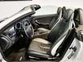 Mercedes-Benz SLK SLK 200 Kompressor cat Argento - thumbnail 14