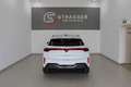 CUPRA Terramar 2.0 TSI 204 PS DSG 4Drive Weiß - thumbnail 3