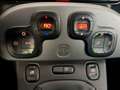 Fiat Panda 1.2 Lounge easypower GPL Gris - thumbnail 19