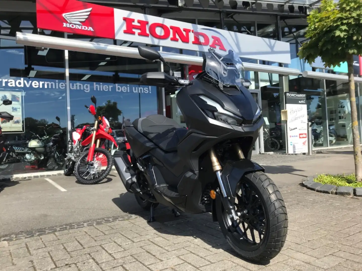 Honda ADV 350 *Mod.2024*Sofort Verfügbar*29PS*Matt Schwarz* Noir - 2