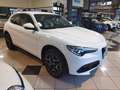 Alfa Romeo Stelvio 2.2 Td 210 cv AT8 Q4 Ti MY21 Bianco - thumbnail 4