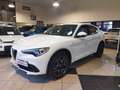 Alfa Romeo Stelvio 2.2 Td 210 cv AT8 Q4 Ti MY21 Bianco - thumbnail 1