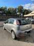 Fiat Punto Evo 5p 1.3 mjt Fun s&s 95cv - thumbnail 3