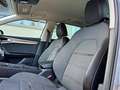 SEAT Leon Leon SP Xcellence 2,0 TDI DSG 4Drive Silber - thumbnail 14