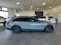 Audi A4 allroad 50 TDI 286cv quattro MHEV Auto Tetto Pelle Navi Gris - thumbnail 44