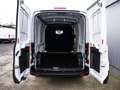Ford Transit KW Trend 350L2 Ganzjahresreifen+Sitzhzg. Klima Weiß - thumbnail 10
