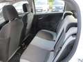 Fiat Punto 1.4 8V 5p Natural Power OK NEOPAT. Blanc - thumbnail 5