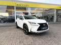 Lexus NX 300h NX 300h 2.5i AWD Dynamic Line E-CVT - topstaat! - Carpass! - Weiß - thumbnail 14