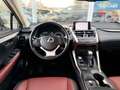 Lexus NX 300h NX 300h 2.5i AWD Dynamic Line E-CVT - topstaat! - Carpass! - Weiß - thumbnail 22