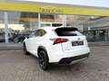 Lexus NX 300h NX 300h 2.5i AWD Dynamic Line E-CVT - topstaat! - Carpass! - Weiß - thumbnail 7