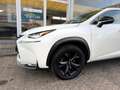 Lexus NX 300h NX 300h 2.5i AWD Dynamic Line E-CVT - topstaat! - Carpass! - Weiß - thumbnail 5