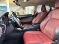 Lexus NX 300h NX 300h 2.5i AWD Dynamic Line E-CVT - topstaat! - Carpass! - Weiß - thumbnail 17