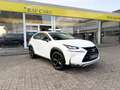 Lexus NX 300h NX 300h 2.5i AWD Dynamic Line E-CVT - topstaat! - Carpass! - Weiß - thumbnail 15