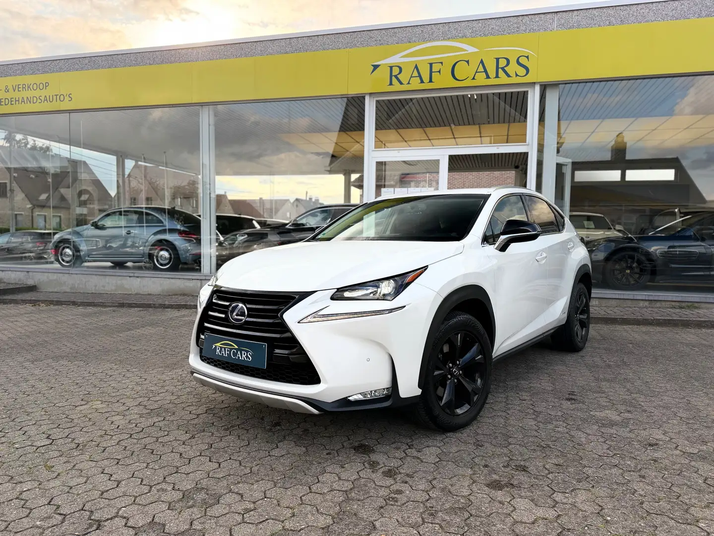 Lexus NX 300h NX 300h 2.5i AWD Dynamic Line E-CVT - topstaat! - Carpass! - Weiß - 1