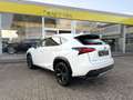 Lexus NX 300h NX 300h 2.5i AWD Dynamic Line E-CVT - topstaat! - Carpass! - Weiß - thumbnail 8