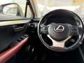 Lexus NX 300h NX 300h 2.5i AWD Dynamic Line E-CVT - topstaat! - Carpass! - Weiß - thumbnail 24