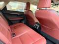 Lexus NX 300h NX 300h 2.5i AWD Dynamic Line E-CVT - topstaat! - Carpass! - Weiß - thumbnail 18