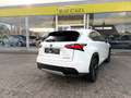 Lexus NX 300h NX 300h 2.5i AWD Dynamic Line E-CVT - topstaat! - Carpass! - Weiß - thumbnail 10