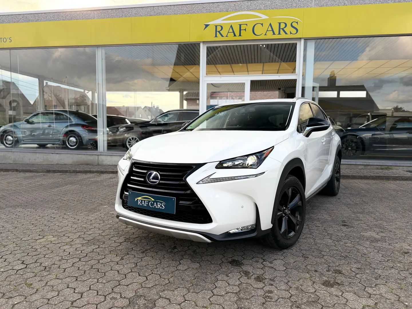 Lexus NX 300h NX 300h 2.5i AWD Dynamic Line E-CVT - topstaat! - Carpass! - Weiß - 2