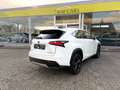 Lexus NX 300h NX 300h 2.5i AWD Dynamic Line E-CVT - topstaat! - Carpass! - Weiß - thumbnail 11