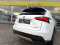 Lexus NX 300h NX 300h 2.5i AWD Dynamic Line E-CVT - topstaat! - Carpass! - Weiß - thumbnail 12
