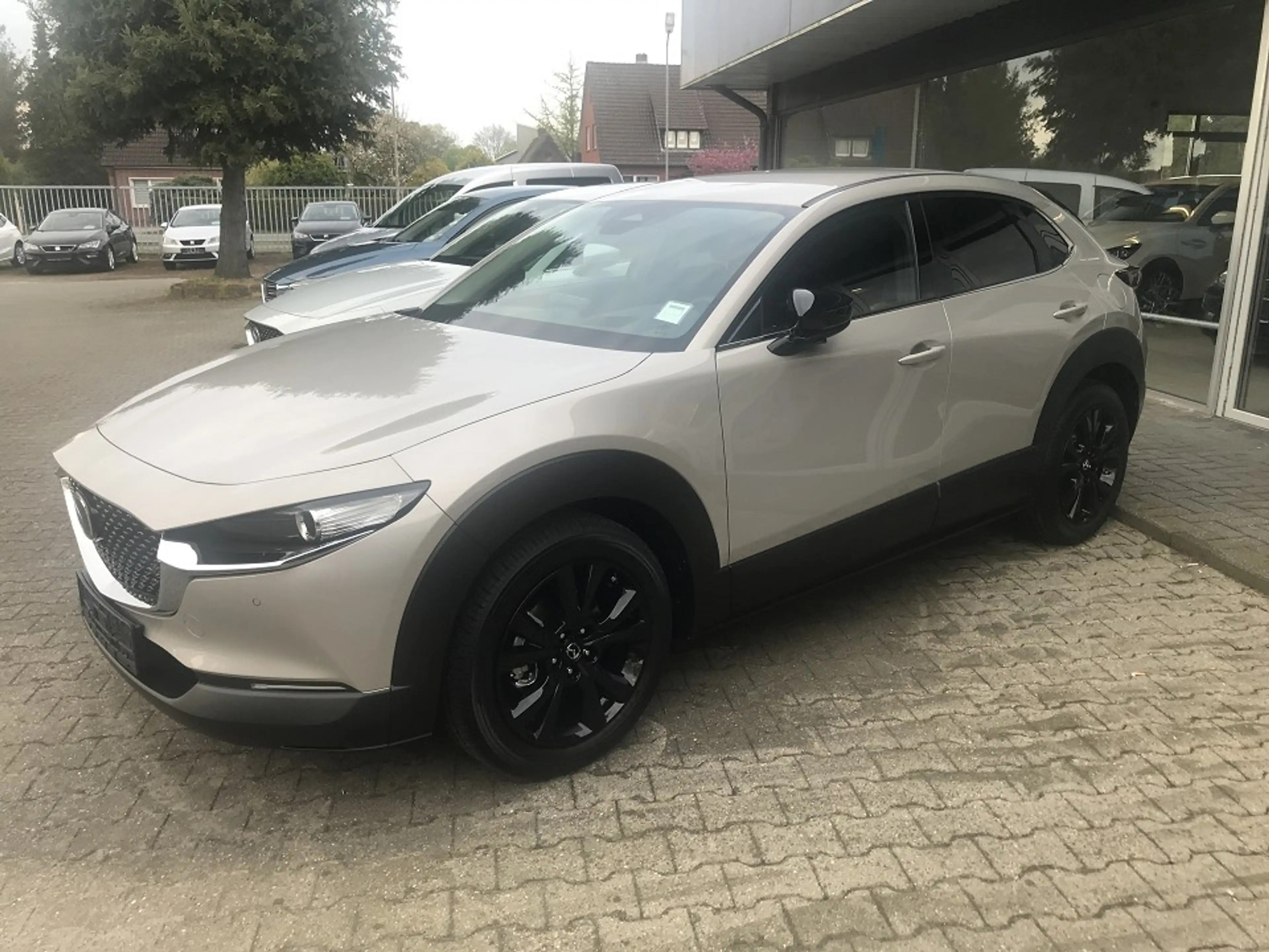 Mazda CX-30 2.5L e-SKYACTIV G140 Homura, AUTOMATIK, LED, HUD,